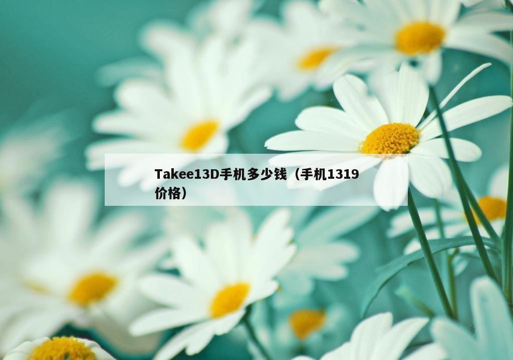 Takee13D手机多少钱（手机1319价格）