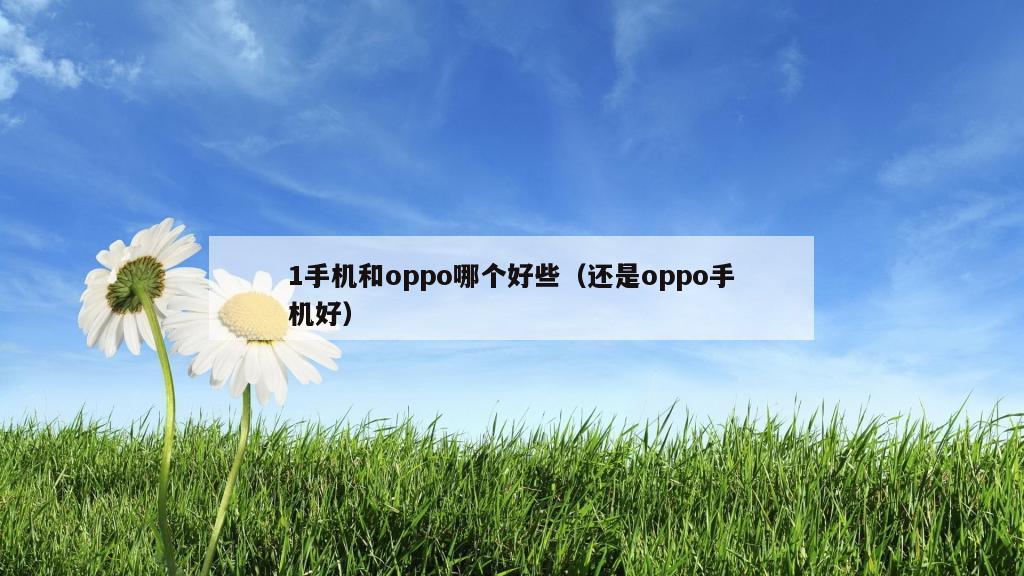 1手机和oppo哪个好些（还是oppo手机好）