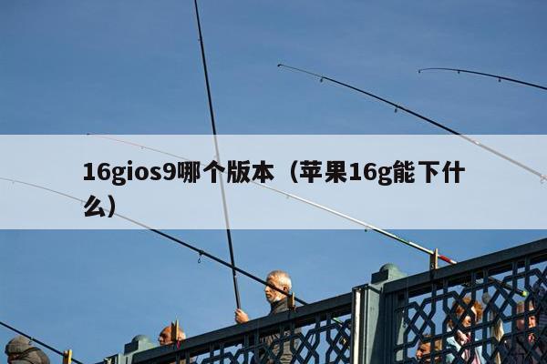 16gios9哪个版本（苹果16g能下什么）