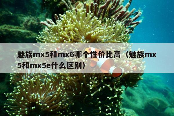 魅族mx5和mx6哪个性价比高（魅族mx5和mx5e什么区别）