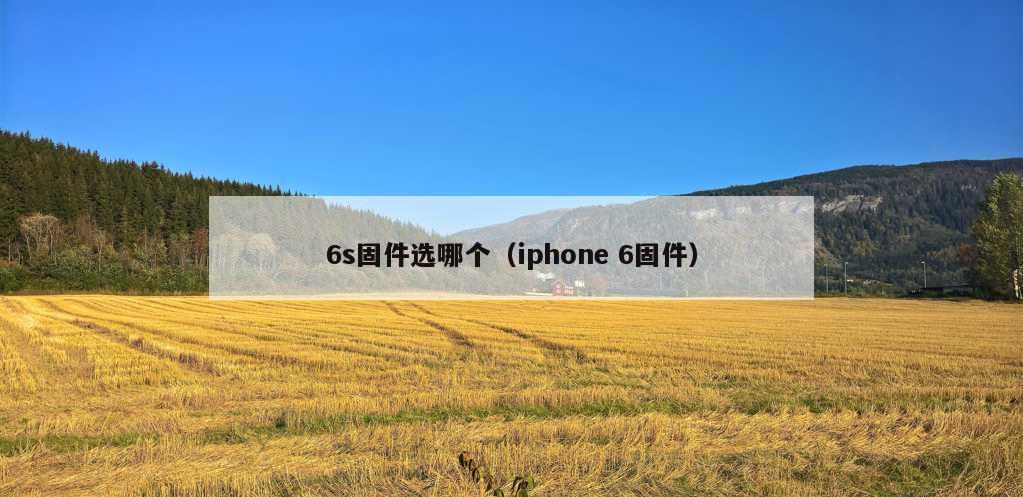 6s固件选哪个（iphone 6固件）