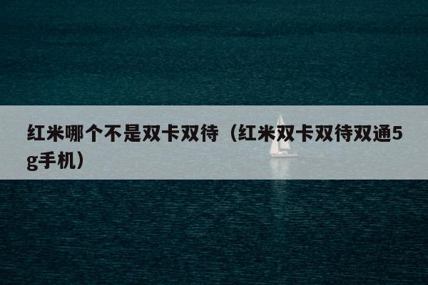 红米哪个不是双卡双待（红米双卡双待双通5g手机）