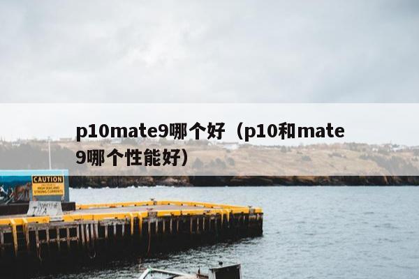 p10mate9哪个好（p10和mate9哪个性能好）