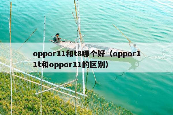 oppor11和t8哪个好（oppor11t和oppor11的区别）