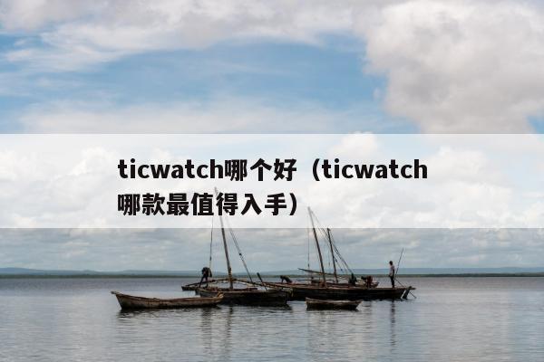 ticwatch哪个好（ticwatch哪款最值得入手）