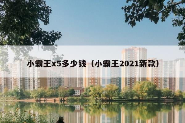 小霸王x5多少钱（小霸王2021新款）