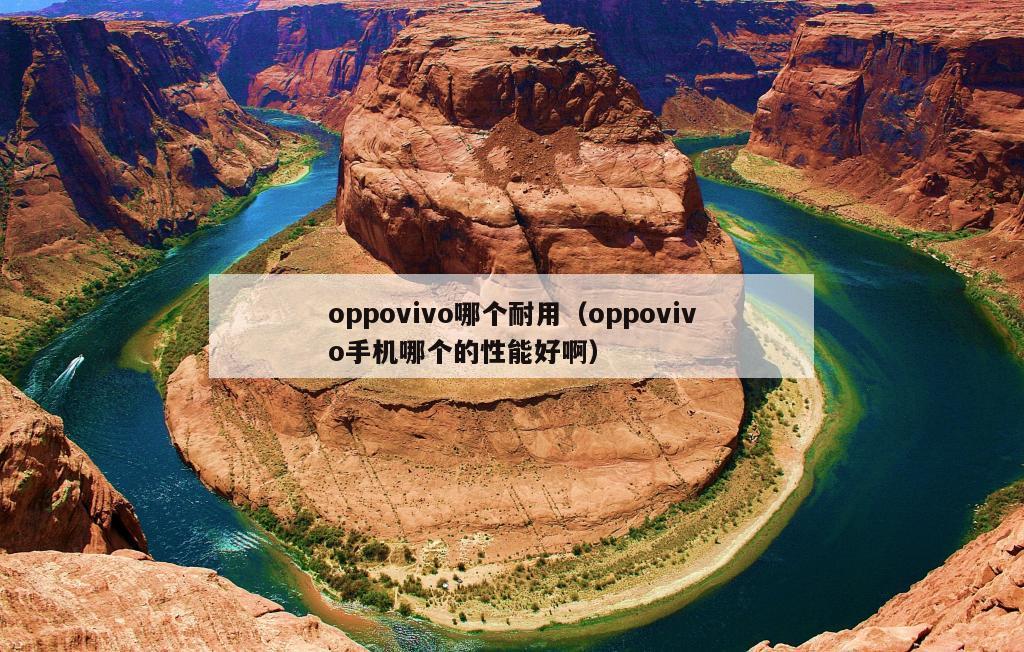 oppovivo哪个耐用（oppovivo手机哪个的性能好啊）