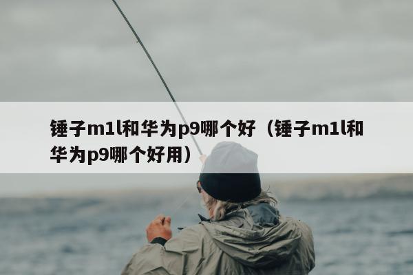 锤子m1l和华为p9哪个好（锤子m1l和华为p9哪个好用）