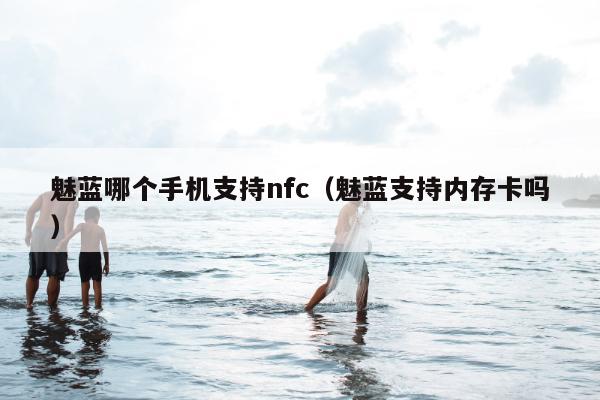 魅蓝哪个手机支持nfc（魅蓝支持内存卡吗）