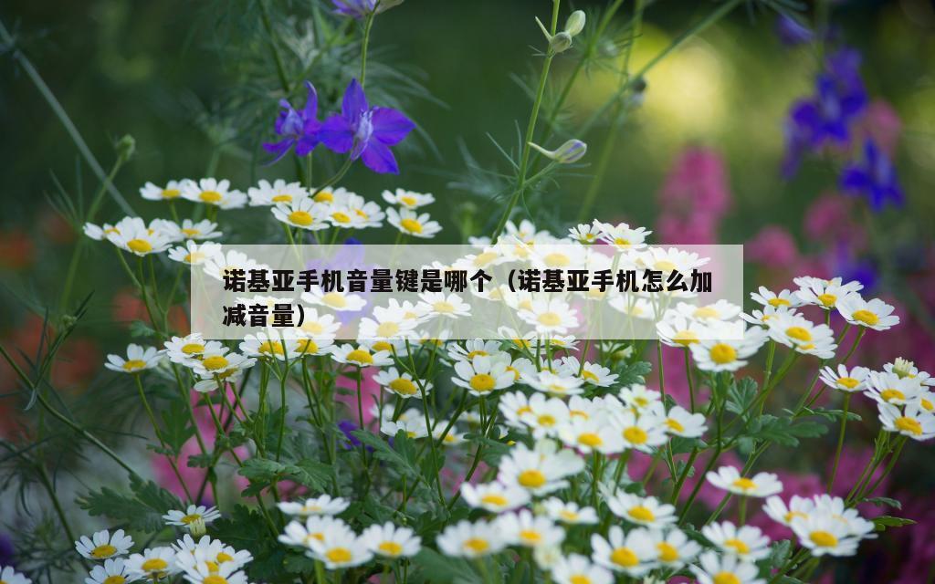 诺基亚手机音量键是哪个（诺基亚手机怎么加减音量）