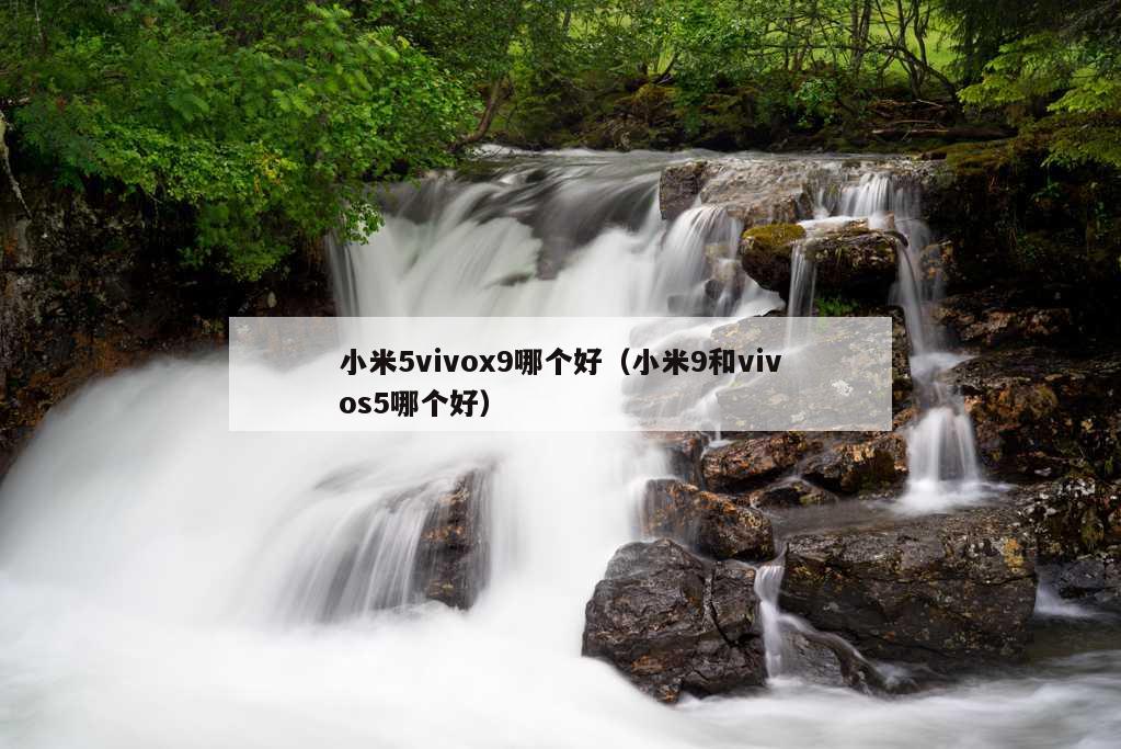 小米5vivox9哪个好（小米9和vivos5哪个好）