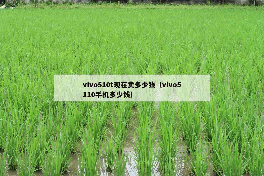 vivo510t现在卖多少钱（vivo5110手机多少钱）