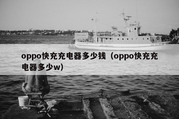 oppo快充充电器多少钱（oppo快充充电器多少w）