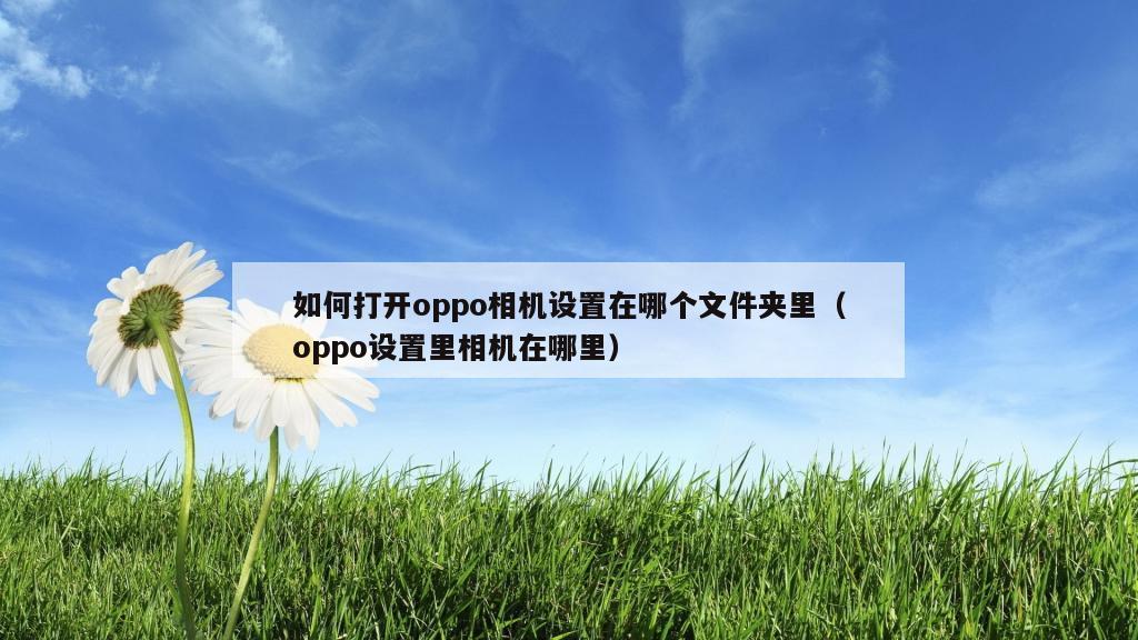 如何打开oppo相机设置在哪个文件夹里（oppo设置里相机在哪里）