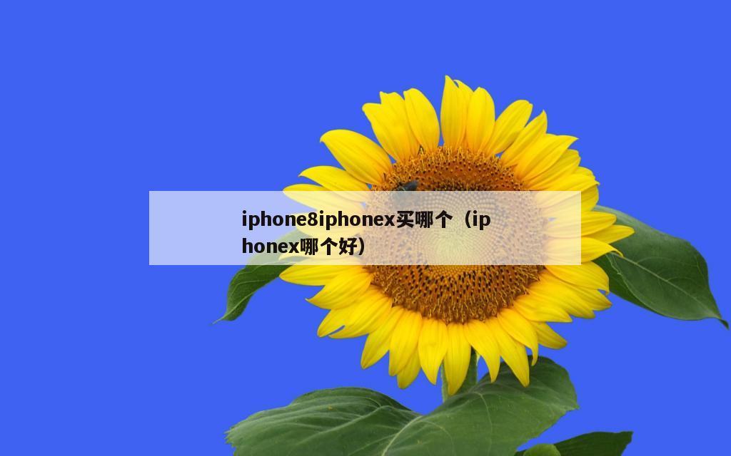 iphone8iphonex买哪个（iphonex哪个好）