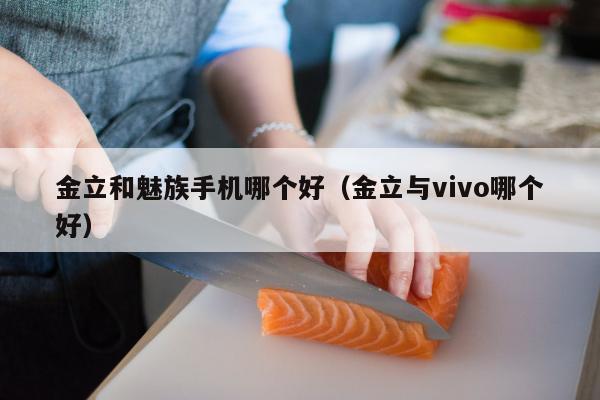 金立和魅族手机哪个好（金立与vivo哪个好）