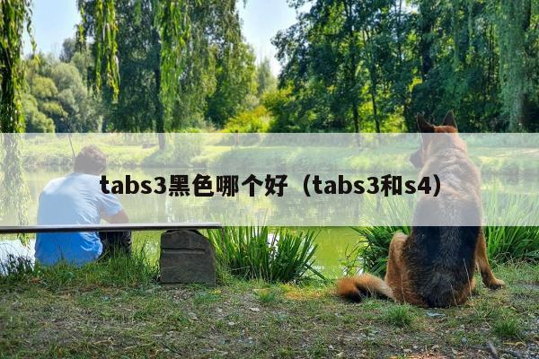 tabs3黑色哪个好（tabs3和s4）