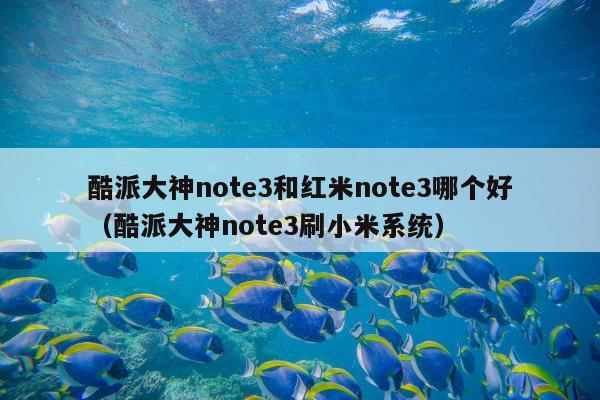 酷派大神note3和红米note3哪个好（酷派大神note3刷小米系统）