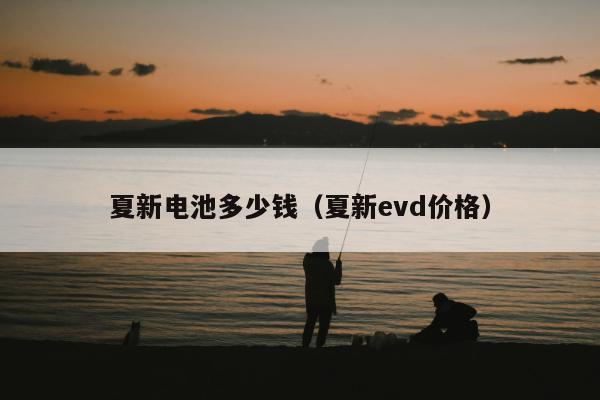 夏新电池多少钱（夏新evd价格）