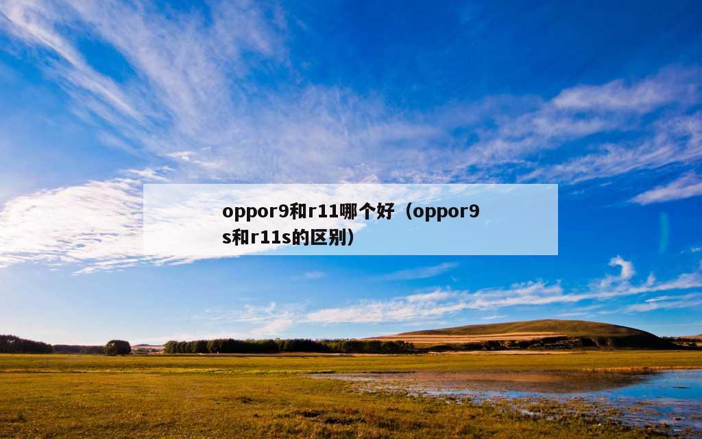 oppor9和r11哪个好（oppor9s和r11s的区别）