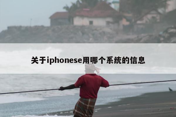 关于iphonese用哪个系统的信息