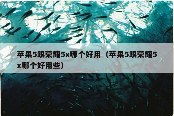 苹果5跟荣耀5x哪个好用（苹果5跟荣耀5x哪个好用些）