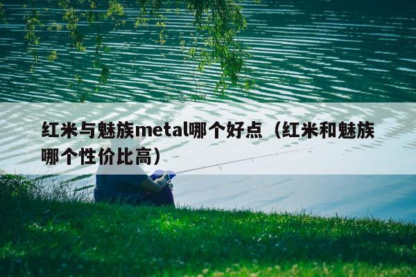 红米与魅族metal哪个好点（红米和魅族哪个性价比高）