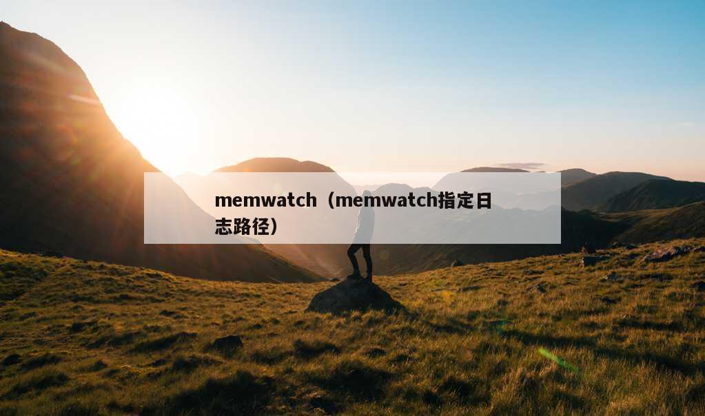 memwatch（memwatch指定日志路径）