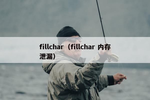 fillchar（fillchar 内存泄漏）