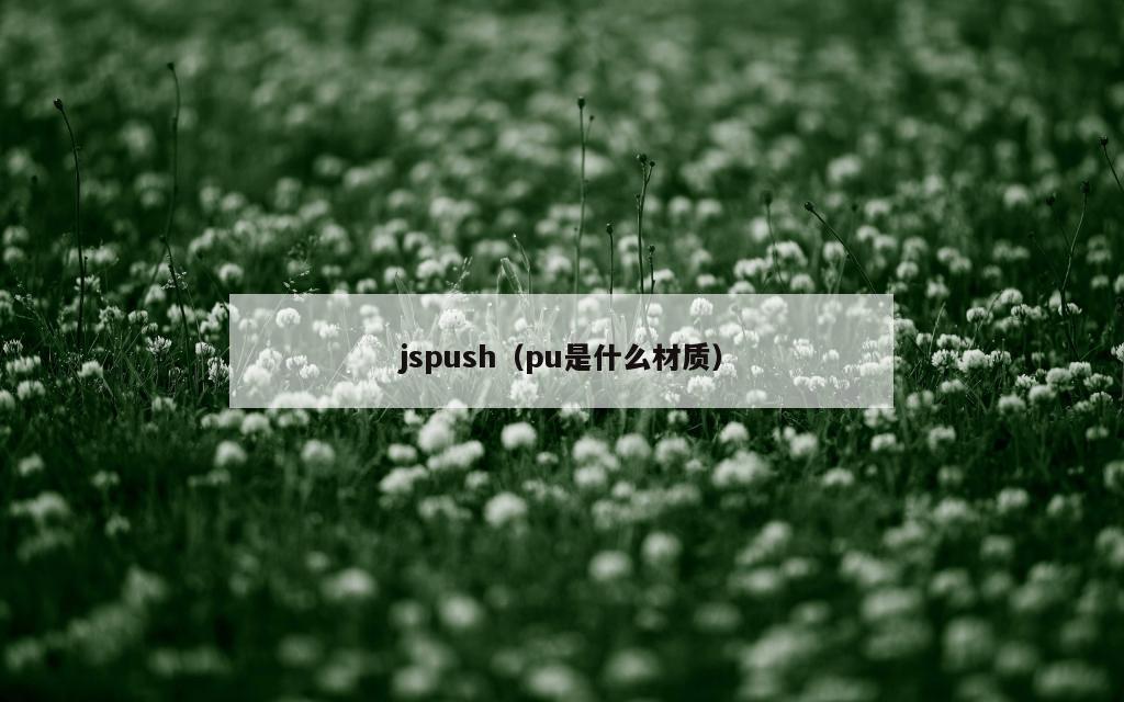 jspush（pu是什么材质）