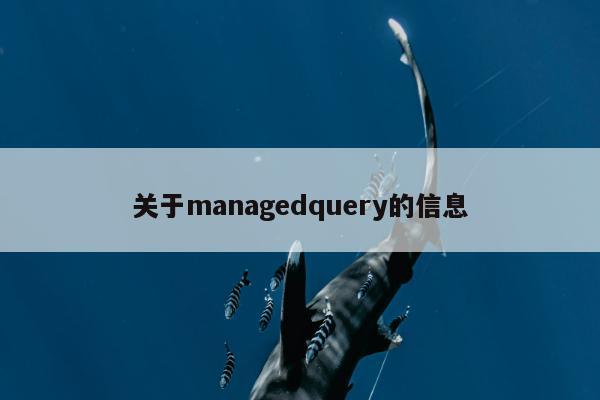 关于managedquery的信息