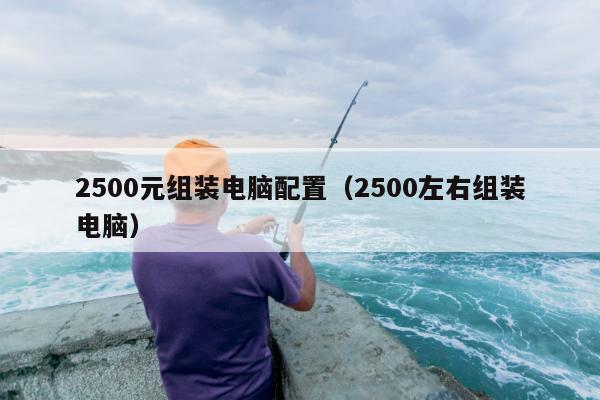 2500元组装电脑配置（2500左右组装电脑）