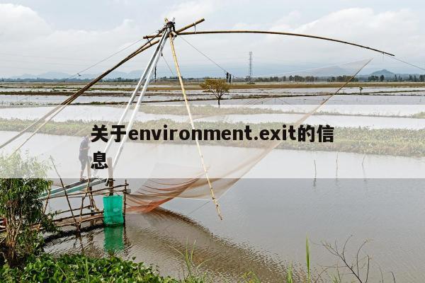 关于environment.exit的信息