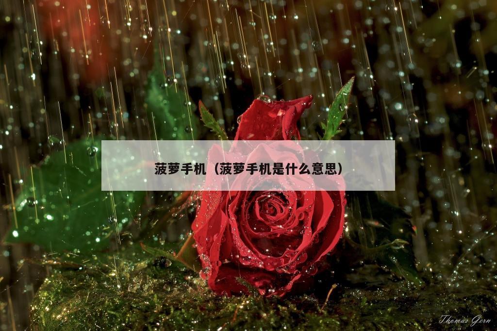 菠萝手机（菠萝手机是什么意思）