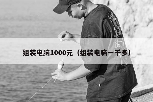 组装电脑1000元（组装电脑一千多）