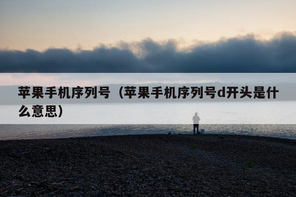 苹果手机序列号（苹果手机序列号d开头是什么意思）