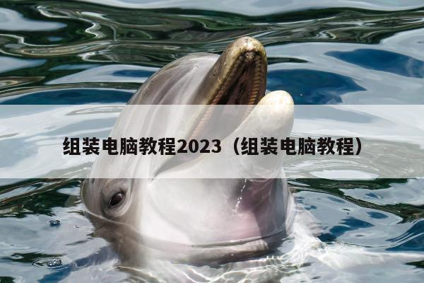 组装电脑教程2023（组装电脑教程）