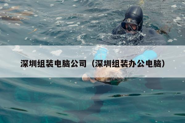 深圳组装电脑公司（深圳组装办公电脑）