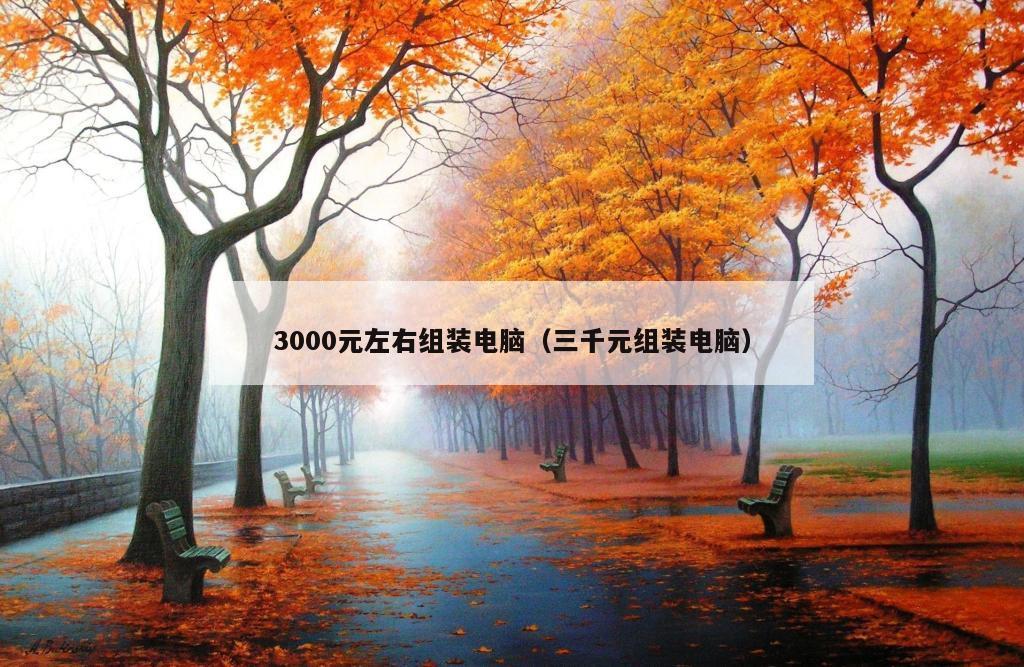 3000元左右组装电脑（三千元组装电脑）