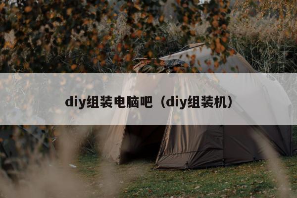 diy组装电脑吧（diy组装机）