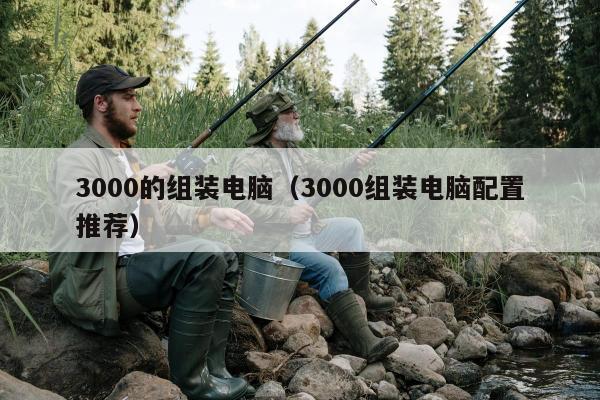 3000的组装电脑（3000组装电脑配置推荐）