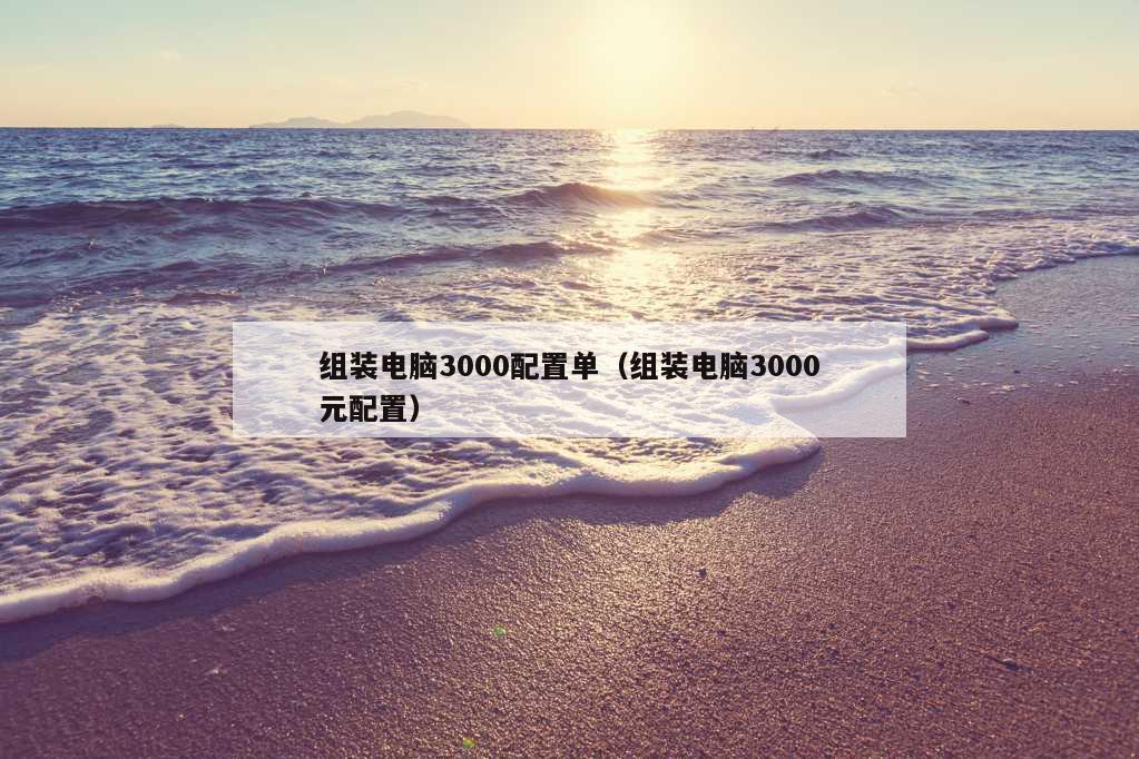 组装电脑3000配置单（组装电脑3000元配置）