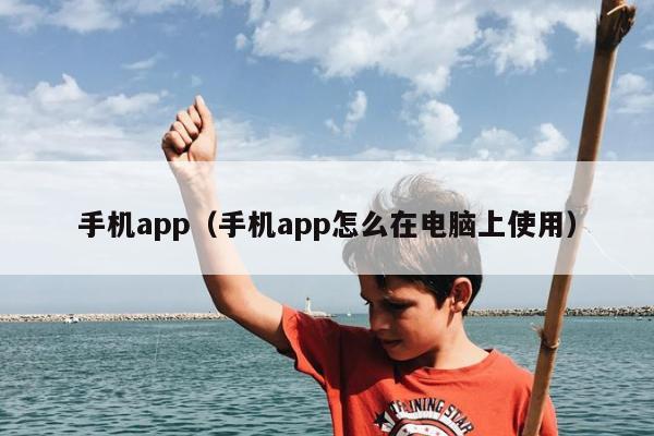 手机app（手机app怎么在电脑上使用）