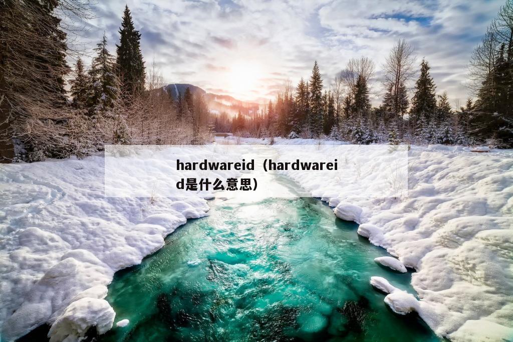 hardwareid（hardwareid是什么意思）