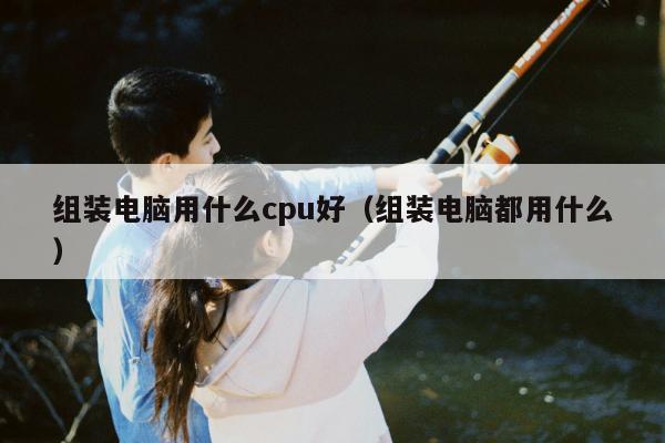 组装电脑用什么cpu好（组装电脑都用什么）