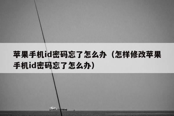 苹果手机id密码忘了怎么办（怎样修改苹果手机id密码忘了怎么办）