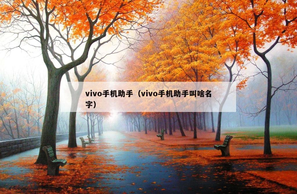 vivo手机助手（vivo手机助手叫啥名字）