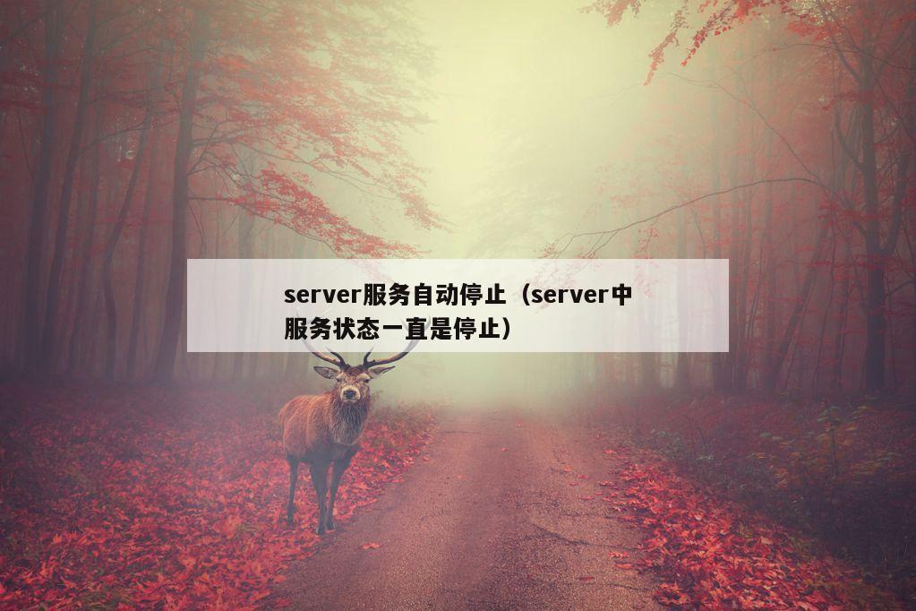 server服务自动停止（server中服务状态一直是停止）