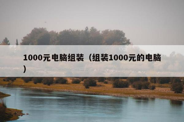 1000元电脑组装（组装1000元的电脑）