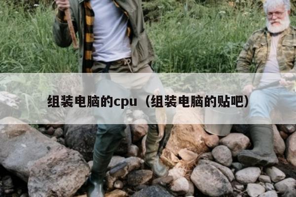 组装电脑的cpu（组装电脑的贴吧）